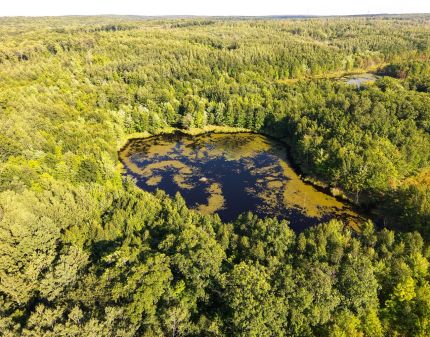 Property for sale in Sawyer County, Wisconsin