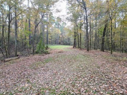 Property for sale in Franklin County, Mississippi