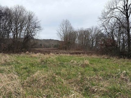 Hunting Land for sale in Logan County, Kentucky