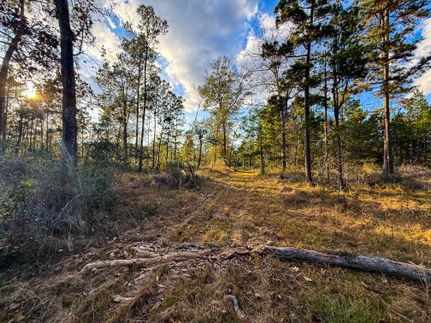Timberland Property for sale in Angelina County, Texas