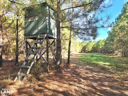 Property for sale in Barbour County, Alabama