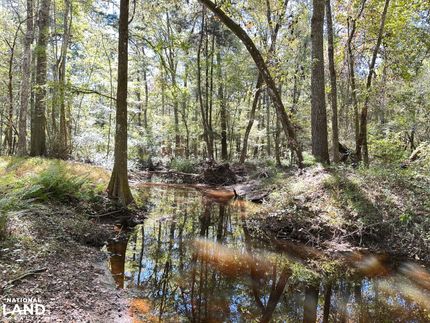 Undeveloped Land for sale in Dorchester County, South Carolina