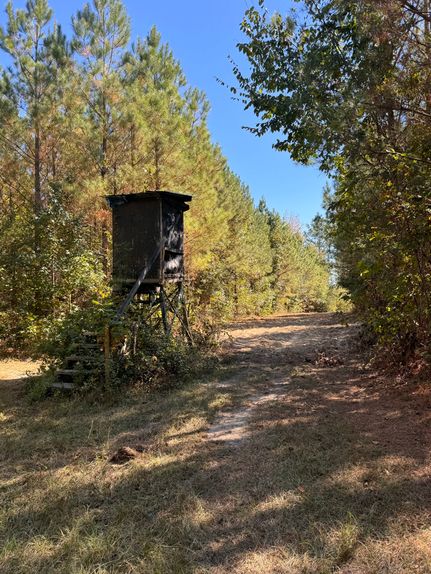 Property for sale in Sumter County, Alabama