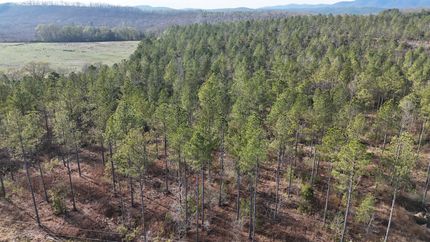 Property for sale in Cherokee County, Alabama