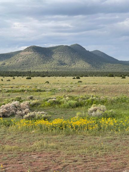 Horse Property for sale in Catron County, New Mexico