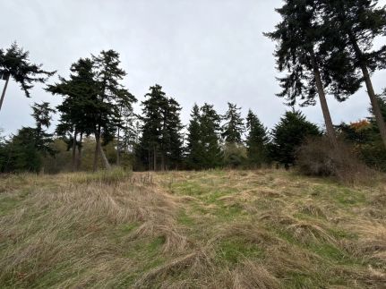 Property for sale in Island County, Washington