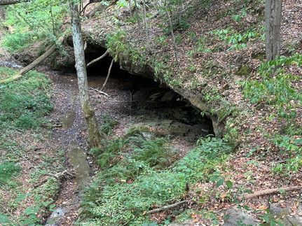 Property for sale in Meigs County, Ohio