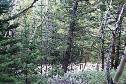 Undeveloped Land for sale in Gilpin County, Colorado