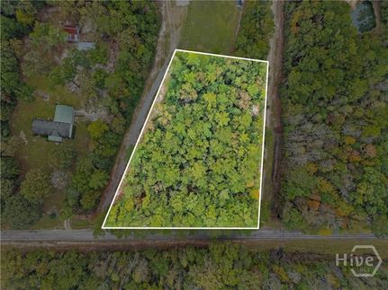 Undeveloped Land for sale in Effingham County, Georgia