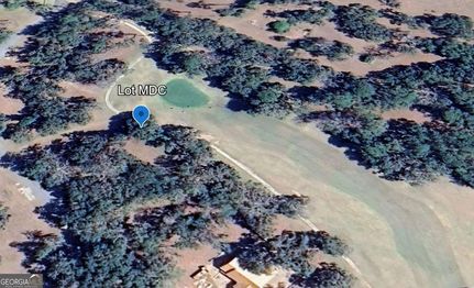 Undeveloped Land for sale in McIntosh County, Georgia