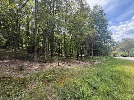 Undeveloped Land for sale in Orange County, New York
