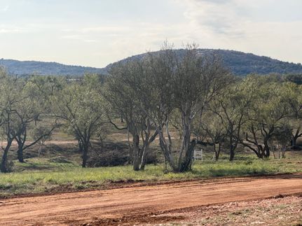 Timberland Property for sale in Llano County, Texas