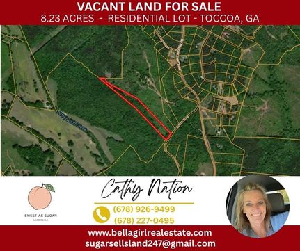 Undeveloped Land for sale in Franklin County, Georgia