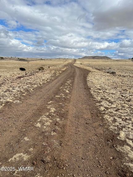 Undeveloped Land for sale in Apache County, Arizona