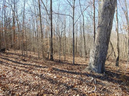 Undeveloped Land for sale in Bedford County, Virginia