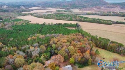 Undeveloped Land for sale in Cherokee County, Alabama