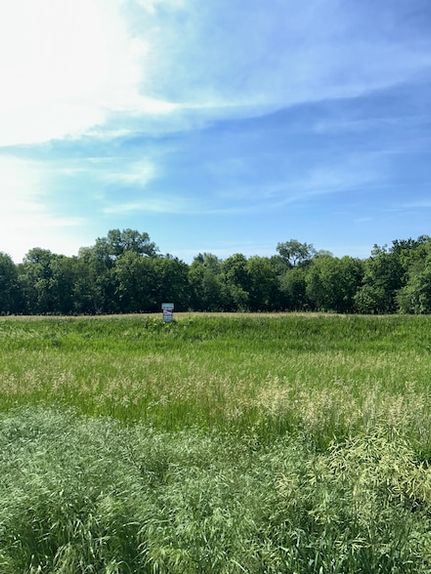 Undeveloped Land for sale in Mills County, Iowa