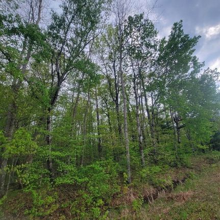 Undeveloped Land for sale in Burnett County, Wisconsin