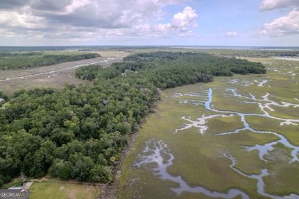 Waterfront Property for sale in Camden County, Georgia