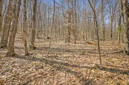 Undeveloped Land for sale in Schoharie County, New York