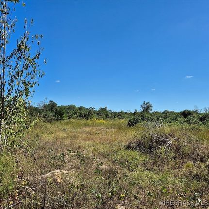 Undeveloped Land for sale in Conecuh County, Alabama