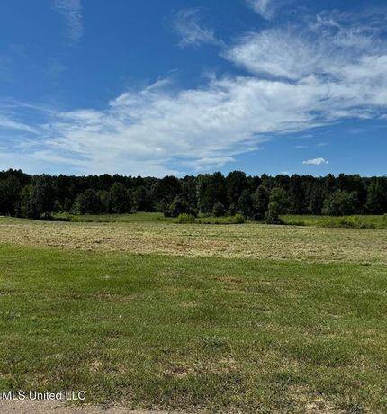 Undeveloped Land for sale in Rankin County, Mississippi