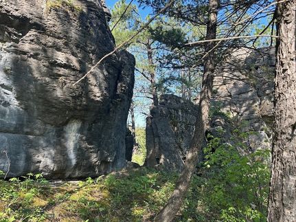 Undeveloped Land for sale in Cascade County, Montana