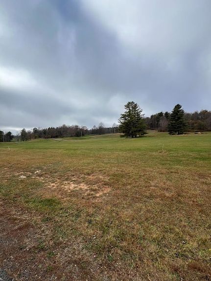 Undeveloped Land for sale in Carroll County, Virginia