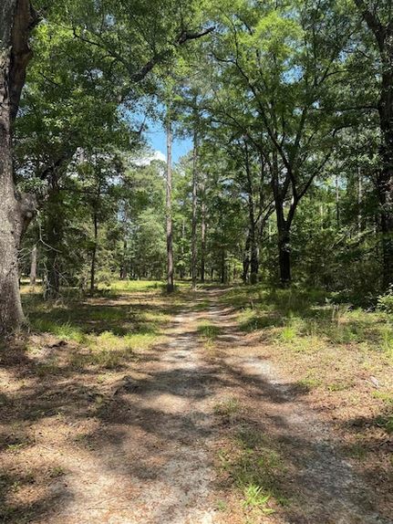 Undeveloped Land for sale in Covington County, Alabama