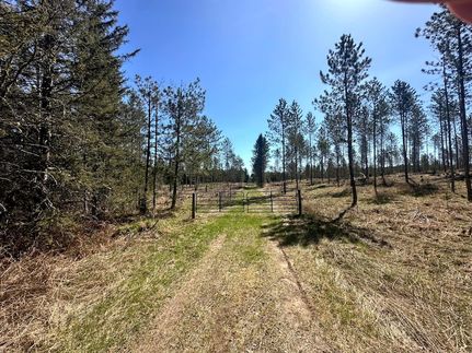 Undeveloped Land for sale in Vilas County, Wisconsin