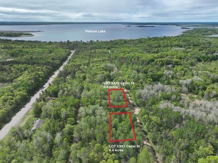 Undeveloped Land for sale in Crow Wing County, Minnesota