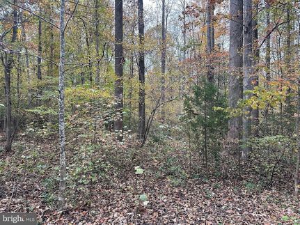 Undeveloped Land for sale in Spotsylvania County, Virginia