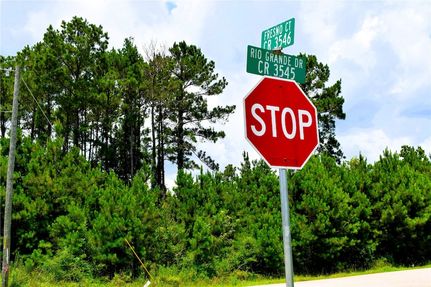 Undeveloped Land for sale in Liberty County, Texas