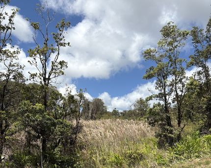 Undeveloped Land for sale in Hawaii County, Hawaii