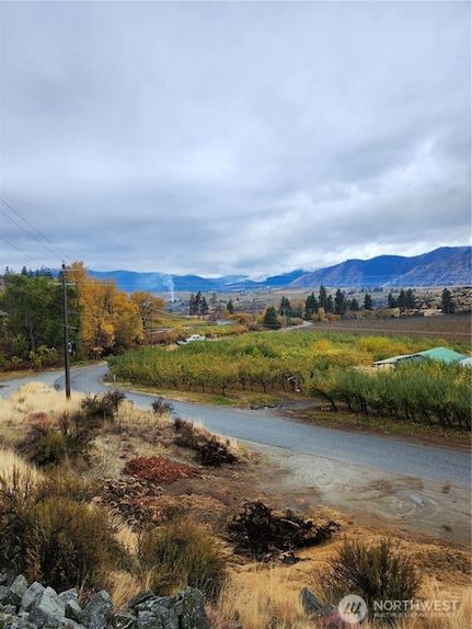 Undeveloped Land for sale in Chelan County, Washington