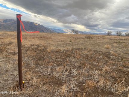 Undeveloped Land for sale in Lyon County, Nevada