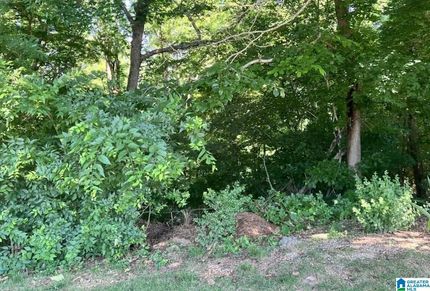 Undeveloped Land for sale in Talladega County, Alabama