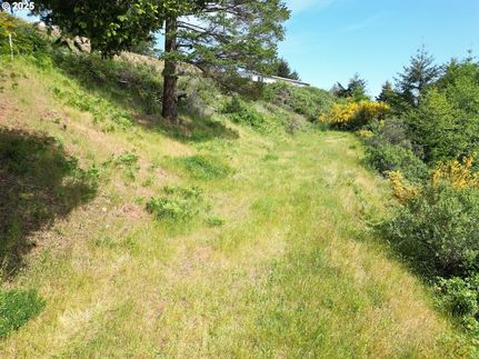 Undeveloped Land for sale in Curry County, Oregon