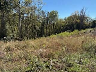 Undeveloped Land for sale in Madison County, Kentucky
