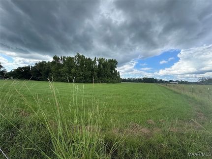 Undeveloped Land for sale in Elmore County, Alabama
