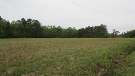 Undeveloped Land for sale in Charleston County, South Carolina