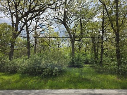 Undeveloped Land for sale in Will County, Illinois