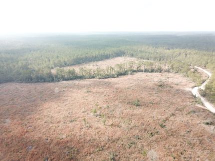 Hunting Land for sale in Tyler County, Texas