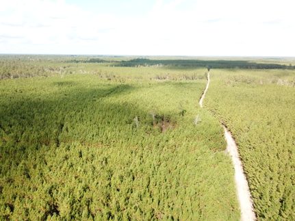 Property for sale in Hardin County, Texas