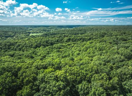 Property for sale in Miller County, Missouri