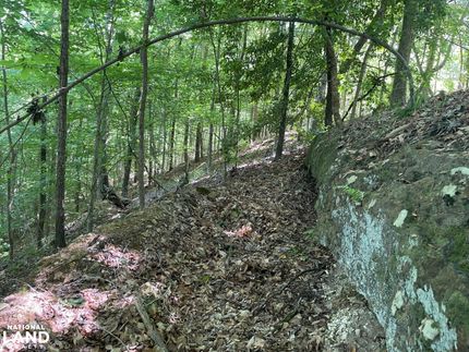 Timberland Property for sale in Choctaw County, Alabama