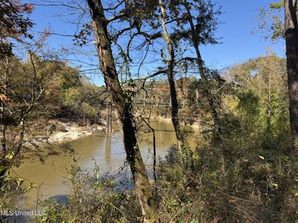 Undeveloped Land for sale in Rankin County, Mississippi