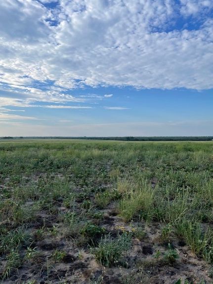 Hunting Land for sale in Duval County, Texas