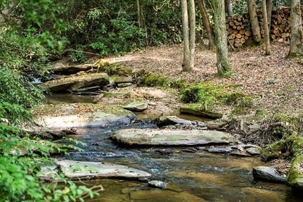 Undeveloped Land for sale in Fannin County, Georgia