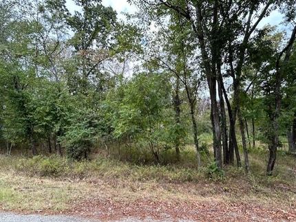 Undeveloped Land for sale in Taney County, Missouri
